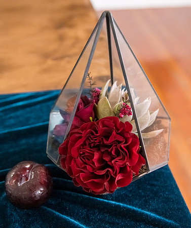 Arbor Day Wedding styled shoot (545)
