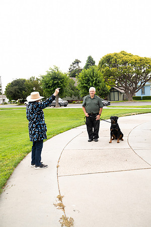 veni and pam dog training 2022-46