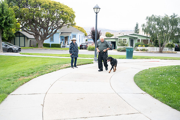 veni and pam dog training 2022-23