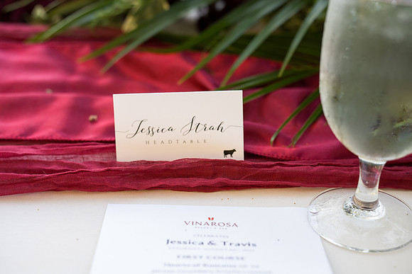 Travis and Jessica wedding day blog (291)