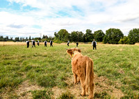 Mike and Kyder Wedding Sneak Peaks (49 of 192)