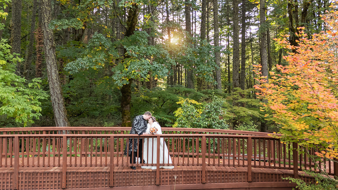 Nara and Cameron wedding gallery (518 of 975)
