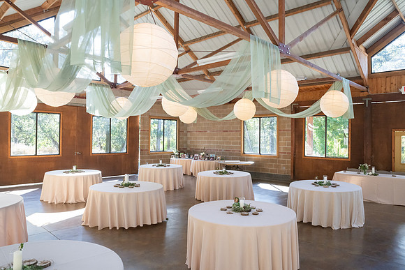 Tom and Kelly Wedding Gallery (46)