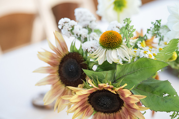 Tom and Kelly Wedding Gallery (71)