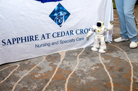 Conference photos (19)