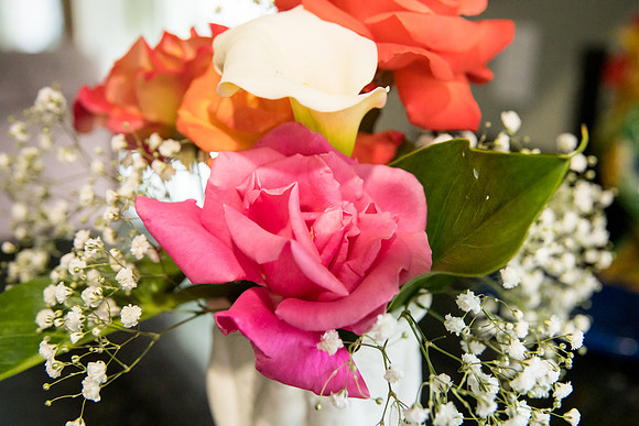 Gene and Roberta wedding gallery (10 of 300)
