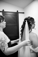 sneak peeks (6 of 97)