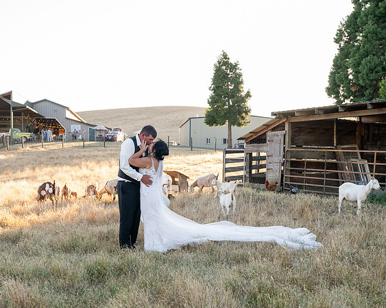 Colby and Tricia's wedding day sneak peeks (61 of 108)