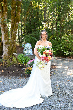 sneak peeks (11 of 97)