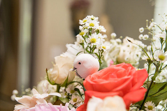 Gene and Roberta wedding gallery (9 of 300)