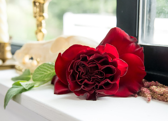 Arbor Day Wedding styled shoot (604)