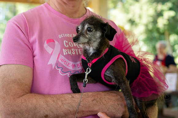 My Breast Friends 5K 2024-74
