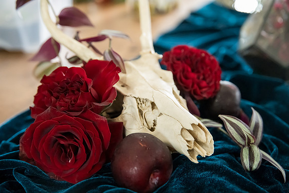 Arbor Day Wedding styled shoot (422)