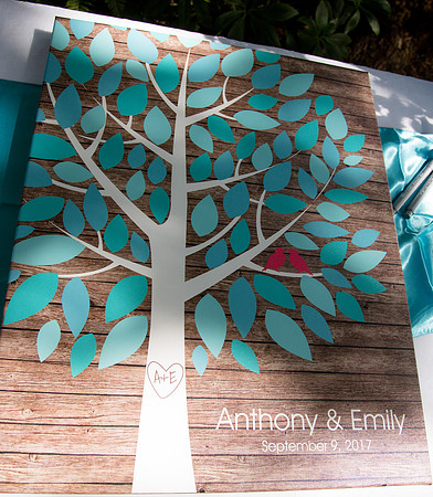 Anthony and Emily sneak peeks and blog-44