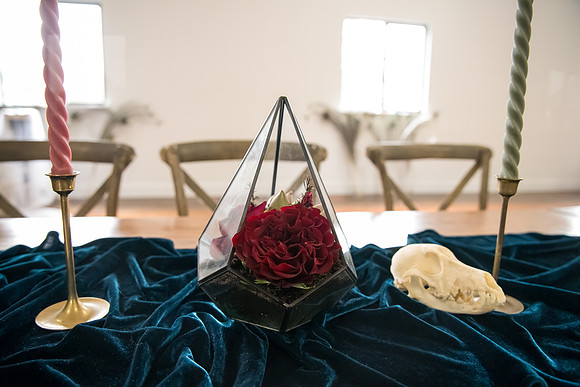 Arbor Day Wedding styled shoot (424)
