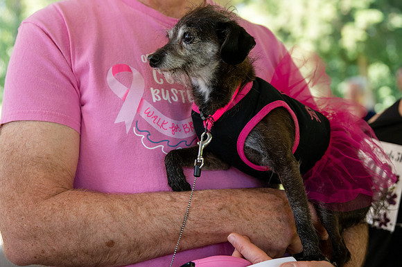 My Breast Friends 5K 2024-75