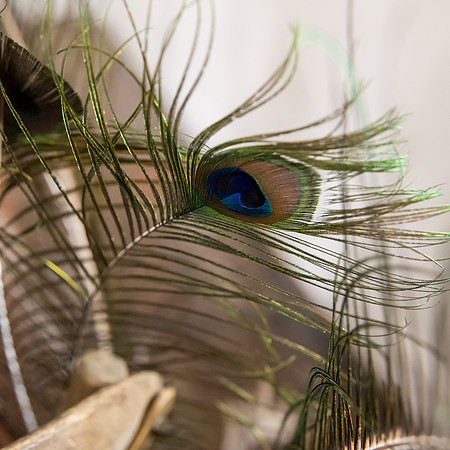 Arbor Day Wedding styled shoot (606)