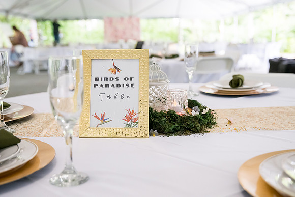 Jerilynn and Cassidy wedding (107 of 1489)