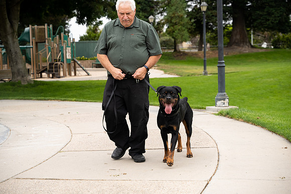 veni and pam dog training 2022-33