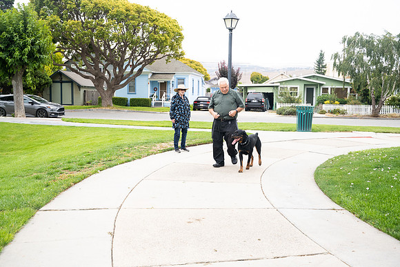 veni and pam dog training 2022-25