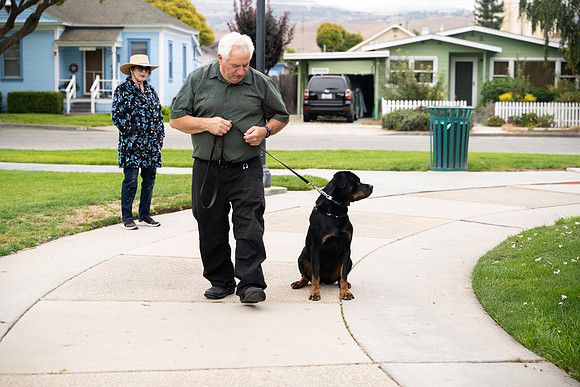 veni and pam dog training 2022-31