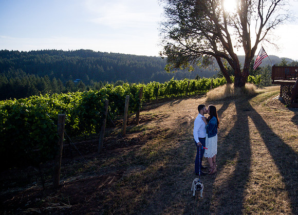 drone wedding photography