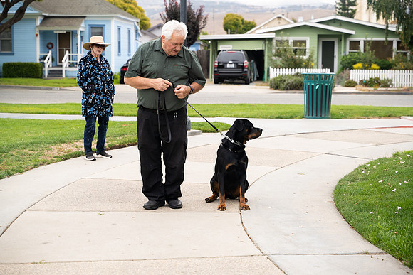 veni and pam dog training 2022-30