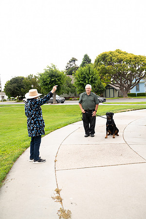 veni and pam dog training 2022-44