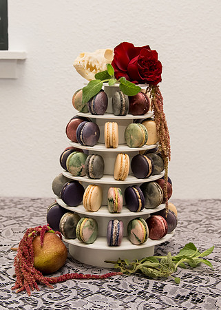 Arbor Day Wedding styled shoot (534)