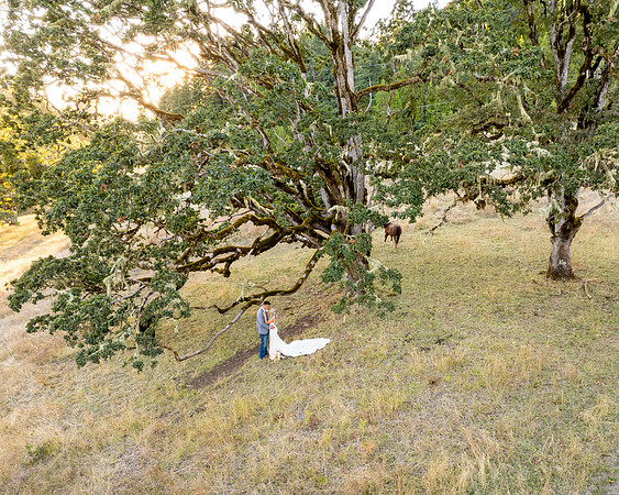 Oregon wedding photographer