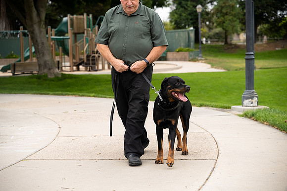 veni and pam dog training 2022-35
