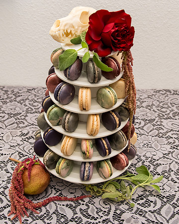 Arbor Day Wedding styled shoot (535)