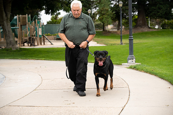 veni and pam dog training 2022-32