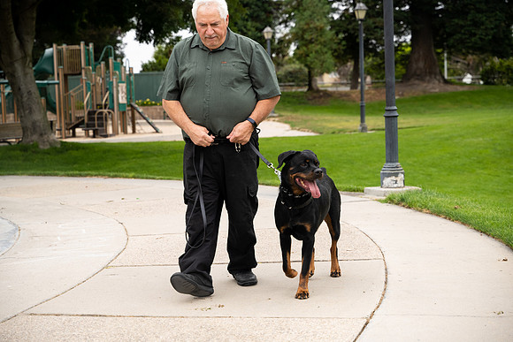 veni and pam dog training 2022-34