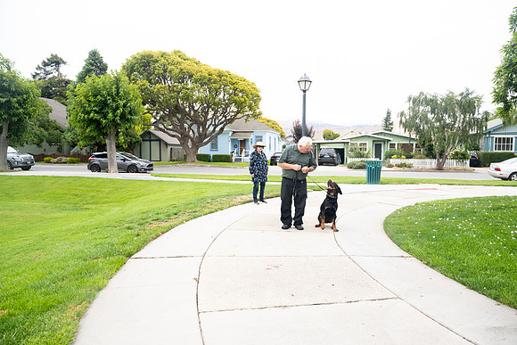 veni and pam dog training 2022-26