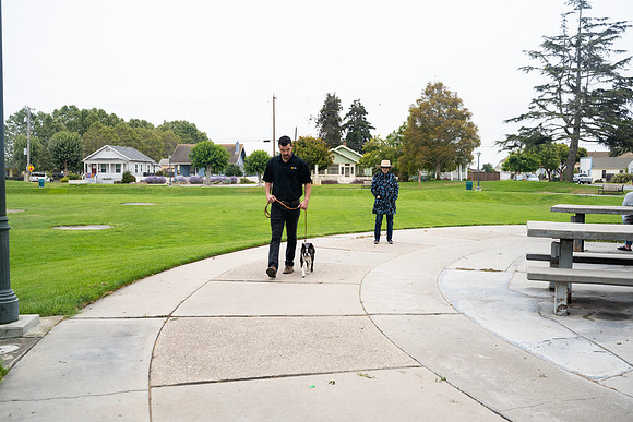 veni and pam dog training 2022-7