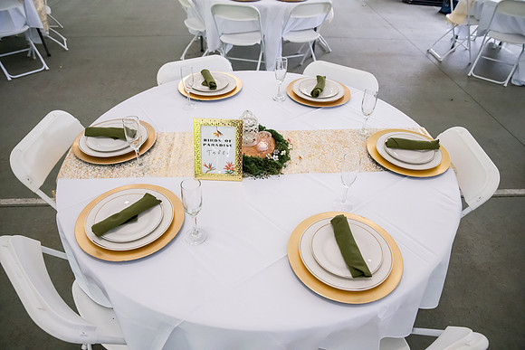 Jerilynn and Cassidy wedding (106 of 1489)