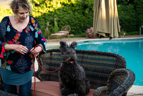 veni and pam dog training 2022-75