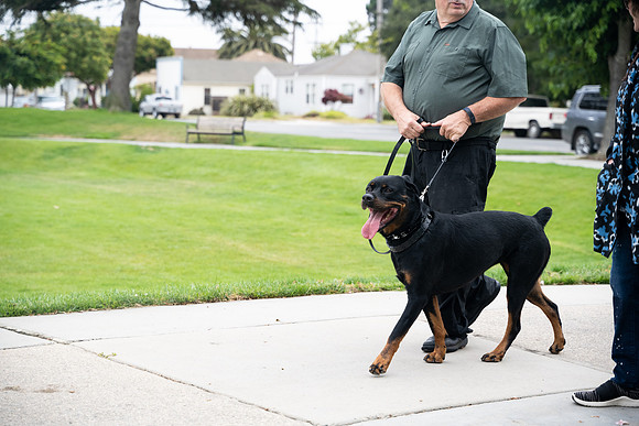 veni and pam dog training 2022-22