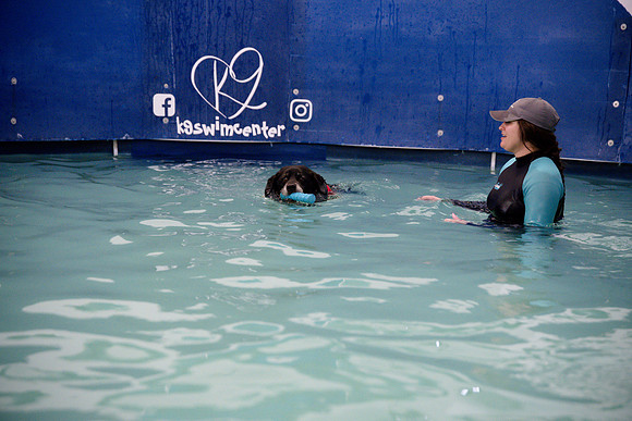 Joe Black k9 swim (4)