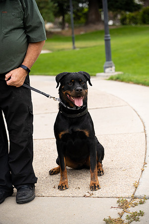 veni and pam dog training 2022-41