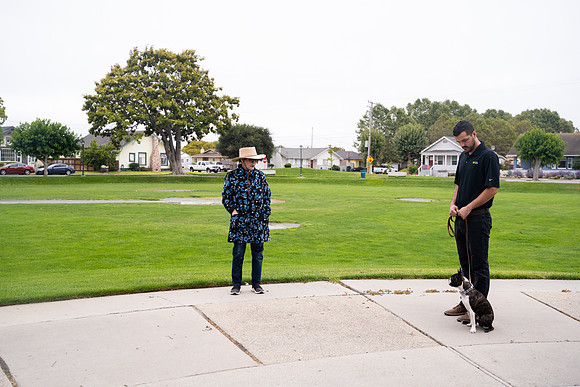 veni and pam dog training 2022-5