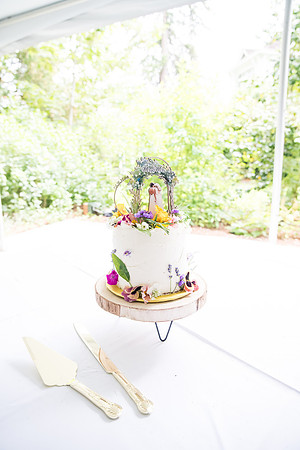 Jerilynn and Cassidy wedding (111 of 1489)
