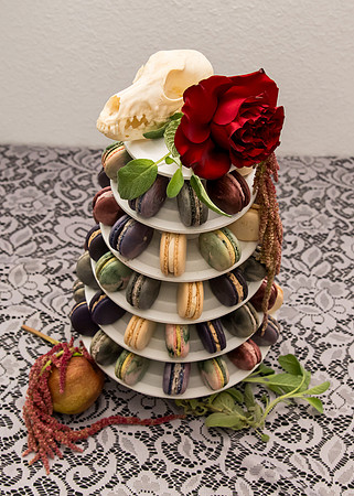 Arbor Day Wedding styled shoot (536)